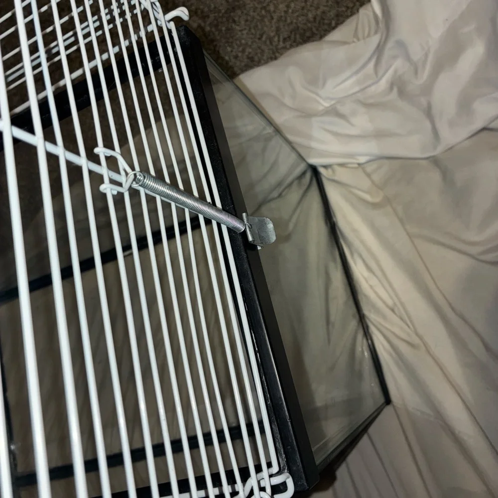 Glass and White Wire Small Pet Habitat